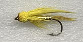 05.Mudler Minnow