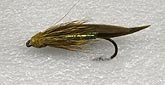 10.Muddler minnow