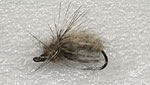 23.Grey caddis