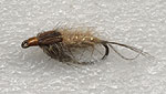 24.March brown nymph