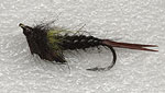 25.Stone fly nimph
