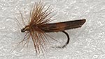 47.River Caddis