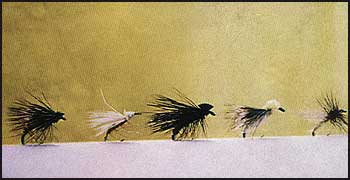 "Deer Hair Caddis", Eik Hair Caddis", "Black Hair Caddis", "Ballon Caddis", Silhoette Caddis"