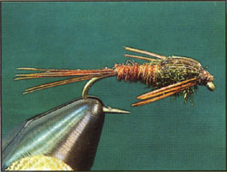 "Pheasant Tail Nymph" 