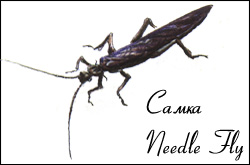  Needle Fly