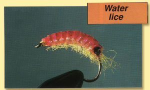 Water lice
