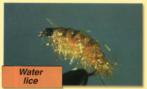 Water lice